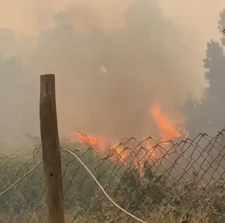 SENAPRED declara Alerta Roja para Vichuquén por incendio forestal