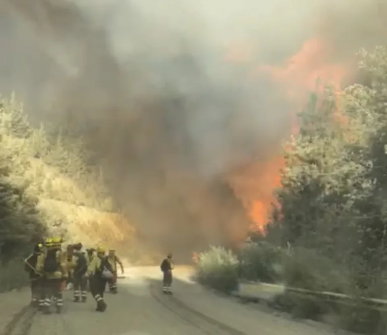 SENAPRED actualiza información del Incendio forestal “Alto Llico” en la comuna de Vichuquén