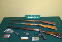 Carabineros incauta seis armas de fuego y 136 cartuchos en operativos realizados en Pichilemu IMG_3371