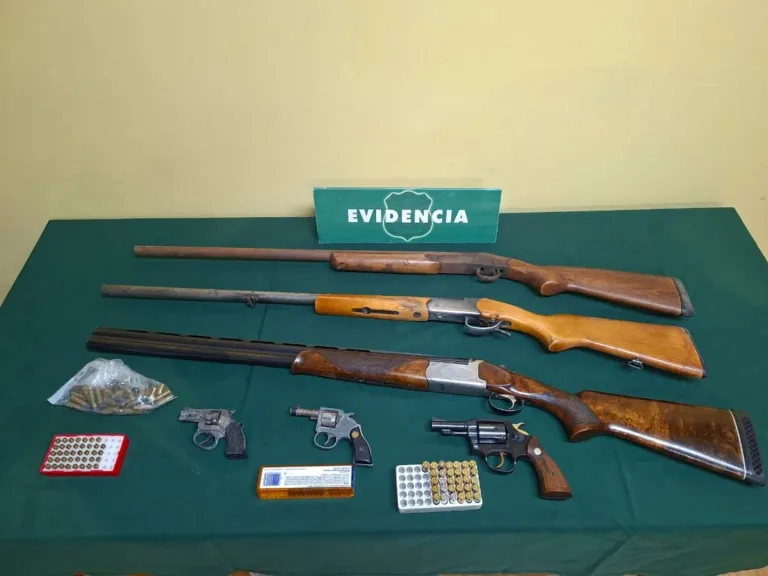 Carabineros incauta seis armas de fuego y 136 cartuchos en operativos realizados en Pichilemu
