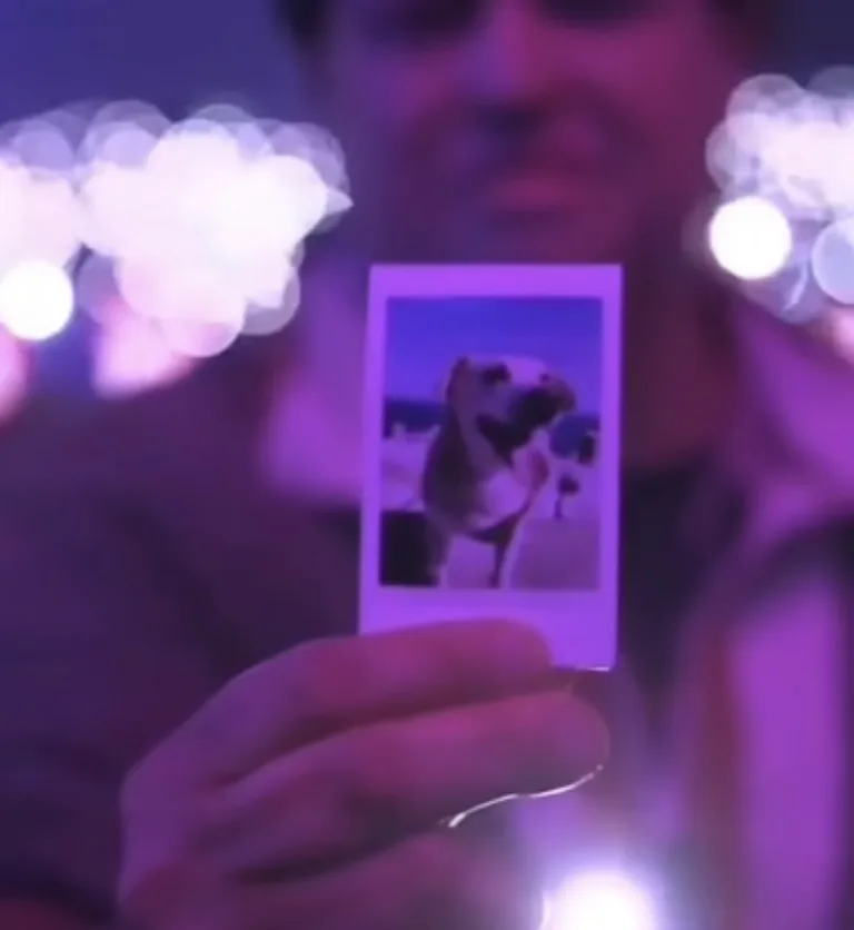 Emotivo homenaje a perrito curicano marcó presentación de Jesse & Joy en el Festival de Viña del Mar