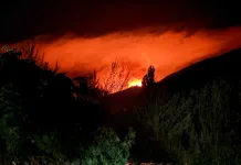 Gobierno Regional del Maule solicita refuerzo aéreo ante avance del incendio forestal en Santuario de la Naturaleza del Cajón de Pejerrey Incendio forestal activo desde el jueves 12 de febrero afecta al Santuario de la Naturaleza “Cajón del Río Achibueno” en Linares