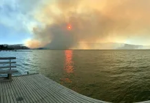 Incendio forestal en Vichuquén - Imagem Gladys Eliana Rojas Duran