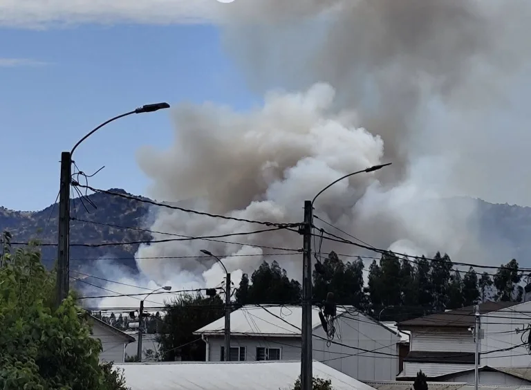 Declaran Alerta Roja comunal en Teno por incendio forestal con amenaza a viviendas