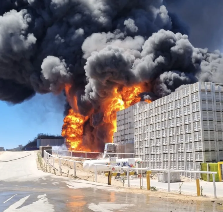 Incendio de gran magnitud afecta a planta Verfrut en Las Cabras y obliga evacuación de 500 trabajadores