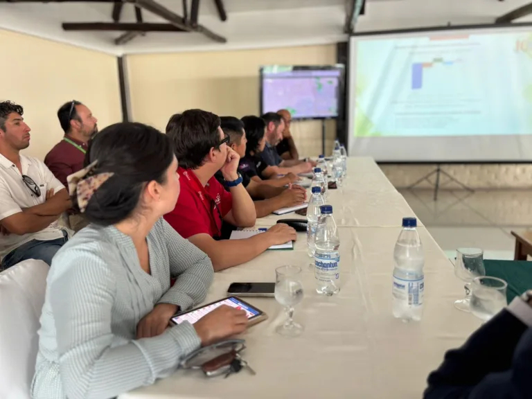 Delitos de mayor connotación social disminuyen un 7,5% en la provincia de Curicó durante la última semana