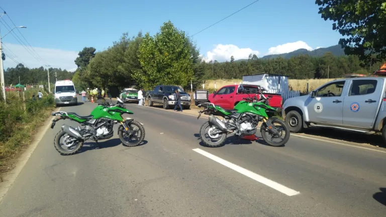 Peatón fallece tras atropello en sector Pueblo Hundido en Pelluhue