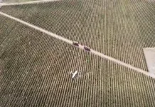 Avioneta cae en sector de viñedos en la comuna de Lolol