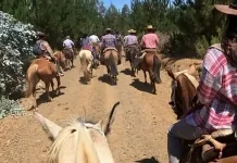Cabalgata y mateada darán vida al “Día de Campo 2026” en Vichuquén Cabalgata-2