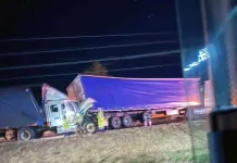 Colisión por alcance entre tres camiones deja un lesionado en la Ruta 5 Sur en Talca