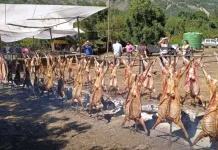 Fiesta Costumbrista del Chivo al Palo Armerillo