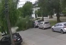 Árbol cae sobre vehículo en pleno centro de Curicó y genera emergencia Screenshot