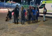 Peatón resulta lesionado tras atropello en calle Marcelo Oxilia frente a supermercado en Curicó Peatón resulta lesionado tras atropello en calle Marcelo Oxilia frente a supermercado en Curicó