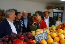 Renovada Feria Diego Portales abre sus puertas con moderna infraestructura para locatarios y vecinos de Curicó Renovada Feria Diego Portales abre sus puertas con moderna infraestructura para locatarios y vecinos de Curicó