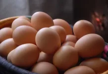 huevos
