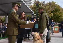Emotivo homenaje de despedida a can policial “Gazam del Emblema Verde” en Rancagua 3a854fd7-7d78-4522-854e-717329c68cb1