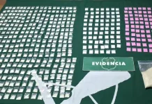 Carabineros detiene a dos personas por tráfico de drogas tras persecución en Quinta de Tilcoco 3bc006f0-822c-4878-b4f7-49f9f3c3bbf8