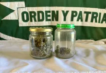 Carabineros detiene a conductor por infracción a la Ley de Drogas en sector Vara Gruesa de Linares 5234dbfb-f823-46f2-96ad-2059d33548e8