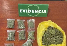 Carabineros detiene a hombre por infracción a la Ley de Drogas en Talca 8be921ce-02ff-41da-a3ea-f2c85028fa5d