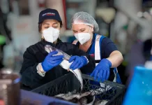 Más de 250 fiscalizaciones sanitarias se realizaron en el Maule previo a Semana Santa