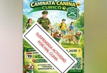 Por condiciones climáticas Carabineros reprograma caminata canina en Curicó Por condiciones climáticas Carabineros reprograma caminata canina en Curicó