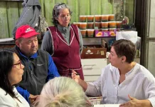 Senadora Beatriz Sánchez advierte necesidad de medidas ante alza de combustibles en el Maule y el país Senadora Beatriz Sánchez advierte necesidad de medidas ante alza de combustibles en el Maule y el país-1