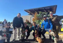 Carabineros realizó masiva caminata canina en Curicó por su 99° aniversario caminata-canina