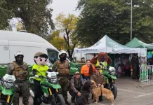 Carabineros realizó masiva caminata familiar canina en Linares por su aniversario institucional f50cad35-46e6-44bc-b1f9-be745d99e7b8