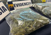 Brigada Antinarcóticos desarticula punto de venta de drogas en Linares Brigada Antinarcóticos desarticula punto de venta de drogas en Linares