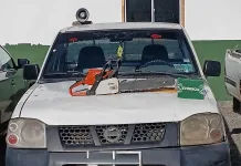 Seis detenidos por robo de madera en predio forestal: Carabineros incautó camionetas y motosierras en Pelarco IMG_0065