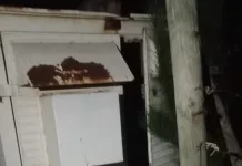 Desconocidos vandalizan planta transmisora de Radio Tropical Latina RTL en Vichuquén bd774bd0-eb8b-433d-b2b9-6495a50a7f89