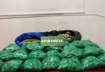 Carabineros detiene a dos mujeres por comercializar hojas de coca en las inmediaciones del CREA de Talca Carabineros Detiene A Dos Mujeres Por Comercializar Hojas De Coca En Las Inmediaciones Del Crea De Talca
