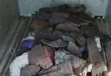 Carabineros detuvo a dos sujetos que transportaban 1.500 kilos de rebaba de cobre en Machalí dffa47ea-989f-4b4b-9978-c218fe2f2921
