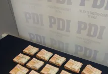 Mujer es detenida en Santa Cruz tras incendio provocado para ocultar robo de más de $13 millones a su ex pareja efd49c03-a365-44c0-9ba9-2fdb830fe5a4