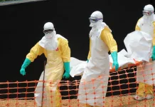 Brote de ébola deja decenas de muertes y activa alerta sanitaria global evola
