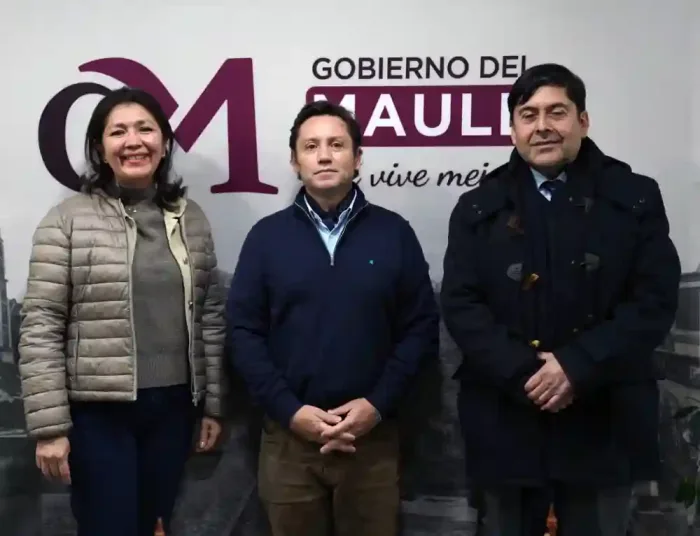 Gobierno Regional Del Maule Fortalece Vinculos Con Francia Para Ampliar Oportunidades Educativas Y De Intercambio Internacional