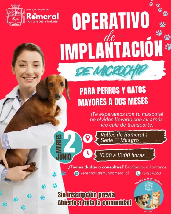 Romeral Realizara Operativo Gratuito De Implantacion De Microchip Para Mascotas Romeral Realizara Operativo Gratuito De Implantacion De Microchip Para Mascotas