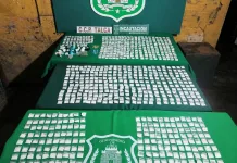 Allanamiento en el penal de Talca permite incautar más de 1.600 dosis de droga tras jornada de visitas Allanamiento En El Penal De Talca Permite Incautar Mas De 1 600 Dosis De Droga Tras Jornada De Visitas