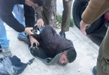 Carabineros de civil detienen a sujeto tras robo y recuperan especies sustraídas en Curicó Carabineros De Civil Detienen A Sujeto Tras Robo Y Recuperan Especies Sustraidas En Curico