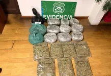 Dos detenidos tras hallazgo de marihuana durante fiscalización vehicular en la Ruta 5 Sur frente a Chimbarongo Dos Detenidos Tras Hallazgo De Marihuana Durante Fiscalizacion Vehicular En La Ruta 5 Sur Frente A Chimbarongo