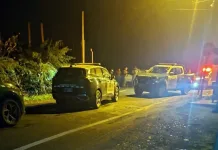 Dos Detenidos Tras Persecucion Policial Por Robo De Placas Patentes En Teno