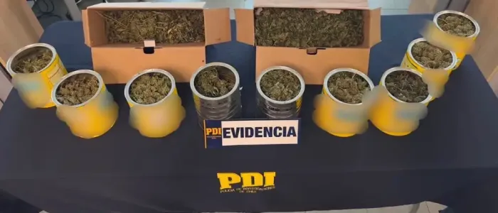 Dos Personas Detenidas Por Delitos Asociados Al Trafico De Drogas En Linares 1 Dos Personas Detenidas Por Delitos Asociados Al Trafico De Drogas En Linares 1