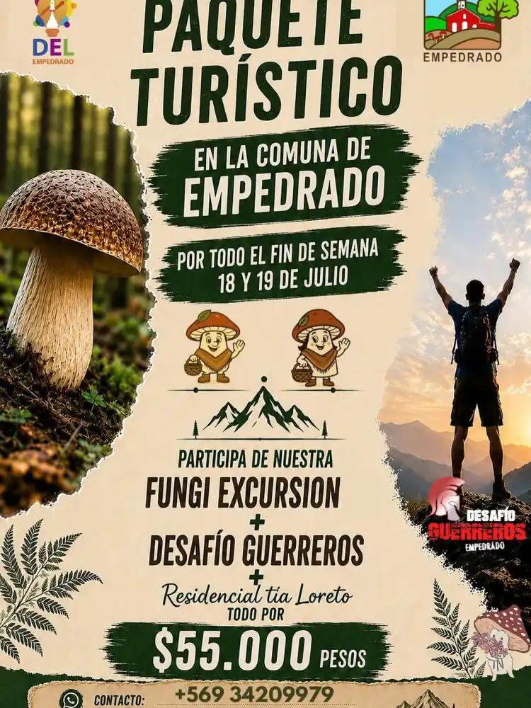 Empedrado Afina Los Preparativos Para La Fiesta Del Hongo Silvestre Con Gastronomia Concursos Y Actividades Familiares 2