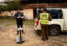 Fiscalizacion Vehicular Termina Con Millonaria Incautacion De Merluza En Licanten