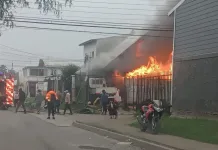 Incendio destruye una vivienda y obliga a declarar Primera Alarma en el sector Santos Martínez de Curicó Incendio Destruye Una Vivienda Y Obliga A Declarar Primera Alarma En El Sector Santos Martinez De Curico