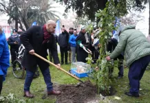 Molina conmemoró el Wiñol Tripantu y fortaleció su compromiso con la salud intercultural Molina Conmemoro El Winol Tripantu Y Fortalecio Su Compromiso Con La Salud Intercultural