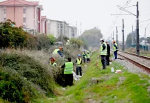 Municipio de Curicó mantiene operativo de limpieza de canales y sitios abandonados para prevenir inundaciones Municipio De Curico Mantiene Operativo De Limpieza De Canales Y Sitios Abandonados Para Prevenir Inundaciones
