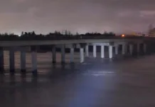 Alerta Roja Por Crecida Senapred Decreta Maxima Alerta Para Linares Longavi Villa Alegre Y Parral