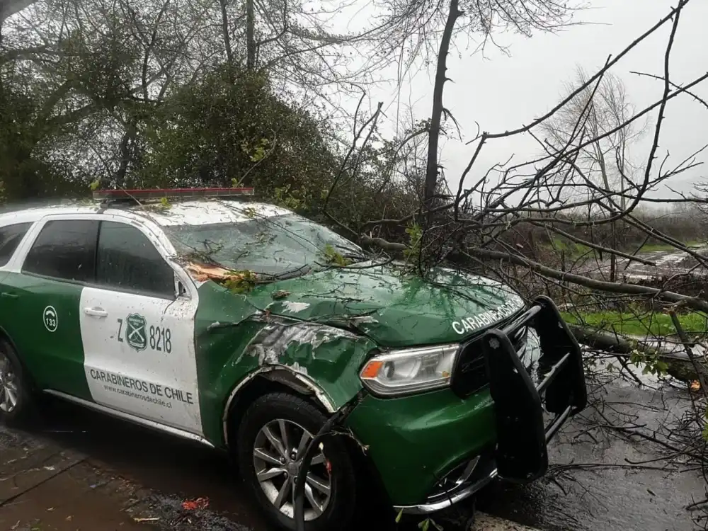 Arbol Cae Sobre Patrulla De Carabineros En Teno Funcionarios Resultan Ilesos Tras Segundo Desplome