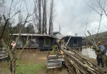 Caída de árbol deja una vivienda con graves daños en Navidad por sistema frontal Caida De Arbol Deja Una Vivienda Con Graves Danos En Navidad Por Sistema Frontal